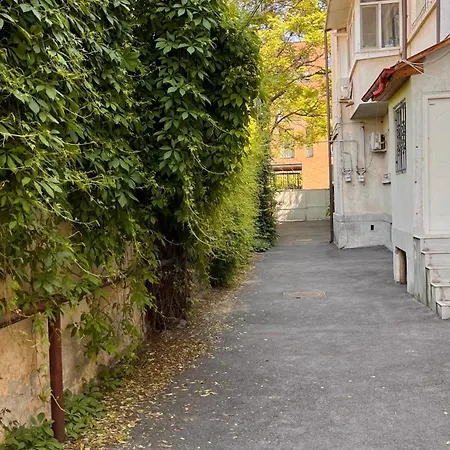 Appartement Bc14 Cosy Sunlit *