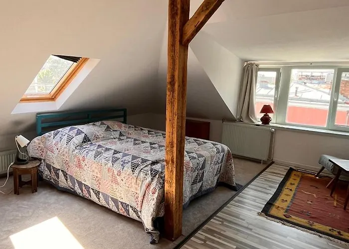 Bc14 Cosy Sunlit * 부쿠레슈티